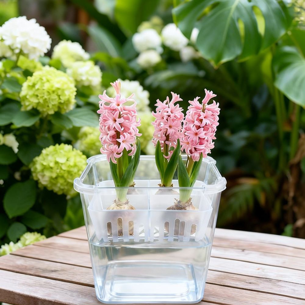 Vase Decor - Vas Hidroponik untuk Bunga Tulip dan
