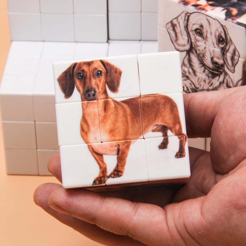 Kubus ajaib yang dipersonalisa - Picture Frame ulasan dan harga